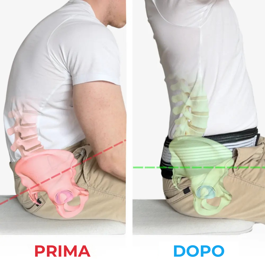 Cintura Ortho